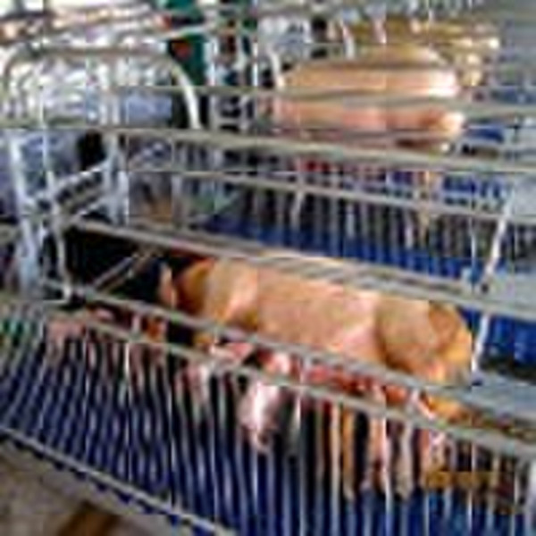 farrowing crate