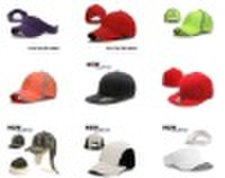 2010 Fashion Hats and Caps