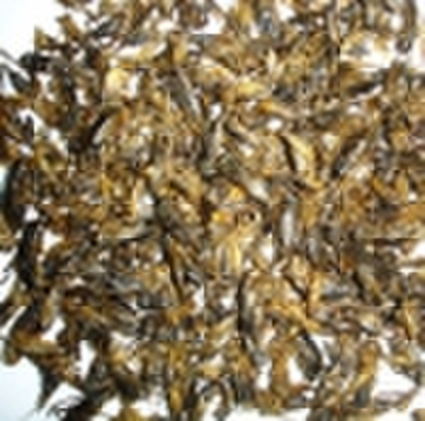 dried cricket