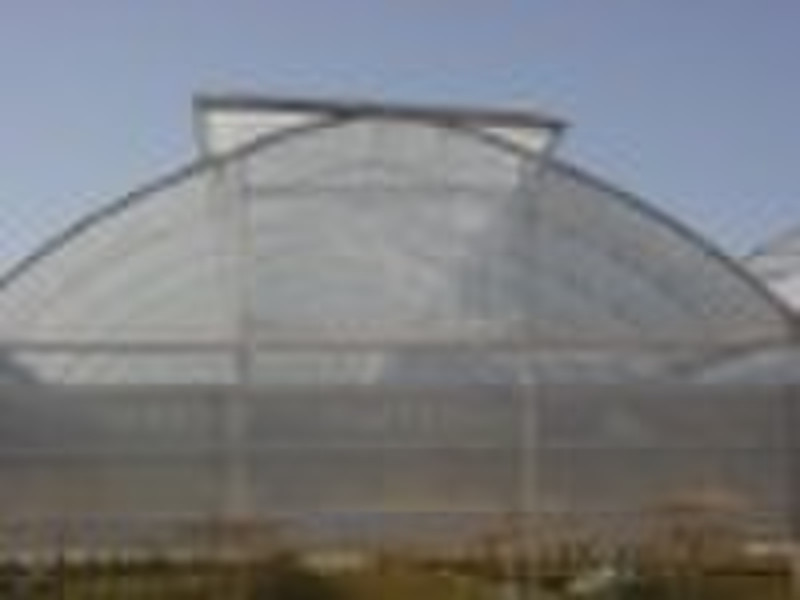 Single Layer Plastic Film Greenhouse