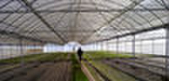 Plastic Film Greenhouse