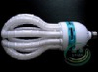 Energy-saving lamp/lamp/fluorescent lighting/light