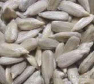 Sunflower seed kernel