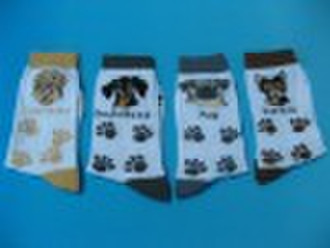 CDS8126 COTTON CARTOON SOCK