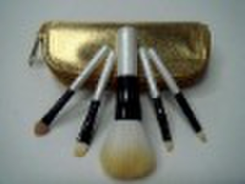 Hot 5pcs professional makeup brushes set