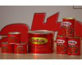 Euramerican Best Selling Canned Tomatenmark (70 g
