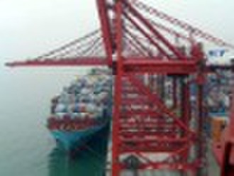 Professional Sea Freight From Guangzou to Auckland