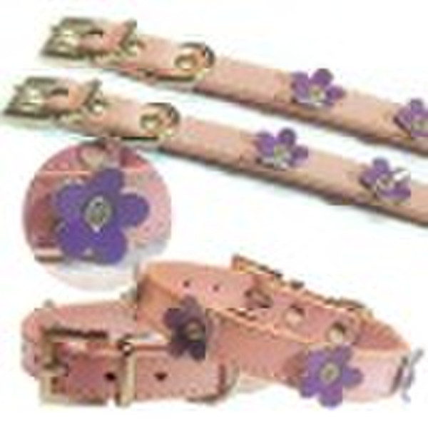 Dog Collar  ZQQS031