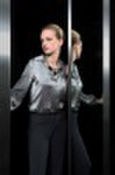 Lady's fashion silk blouse (1C2SB092)