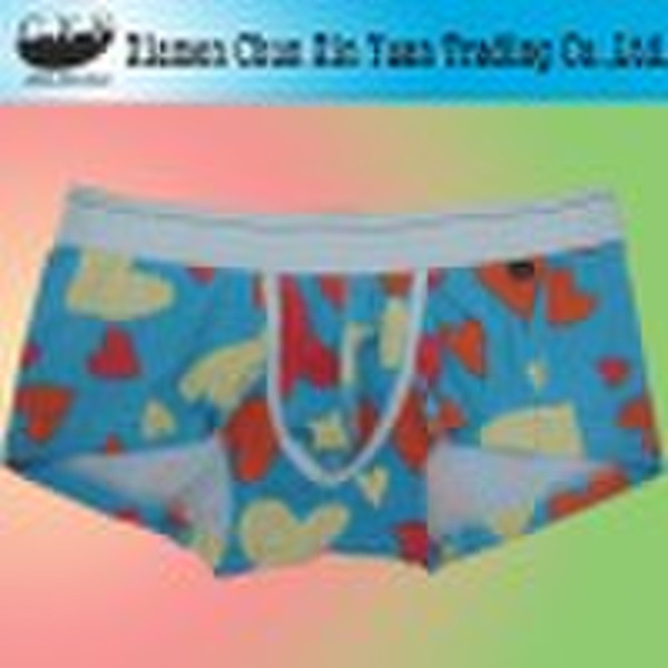 Herren Slips Boxer