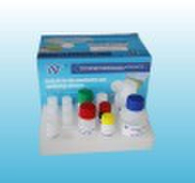 Gentamicin Elisa Test-Kit (Schnelltest)