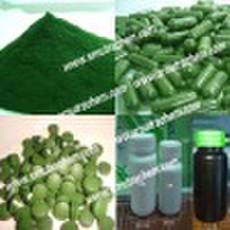 chlorella