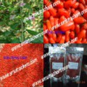 goji berry