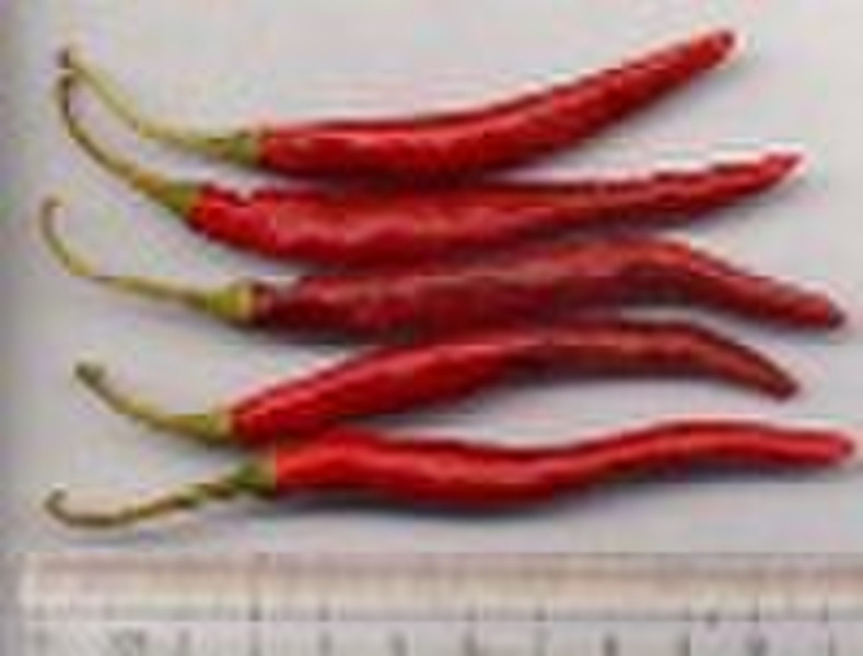 dried red chillies with stem