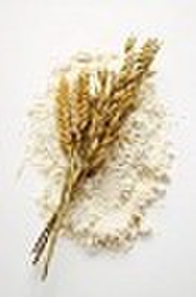 vital wheat gluten