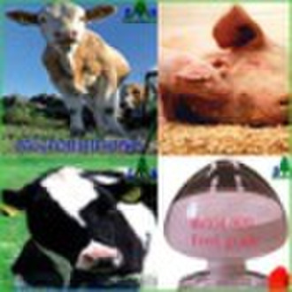 manganous sulphate H2O powder as feed additives fo