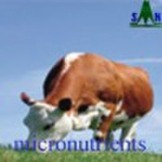 Zinc sulphate H2O as feed additives for Cattle Ran