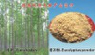 eucalyptus wood powder