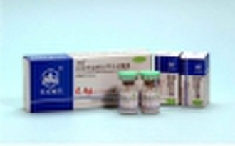 Vancomycin HCL For Inj. (Vial)