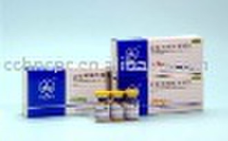 Amphotericin B for inj.