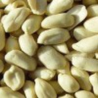 Chinese Blanched Peanut Kernels