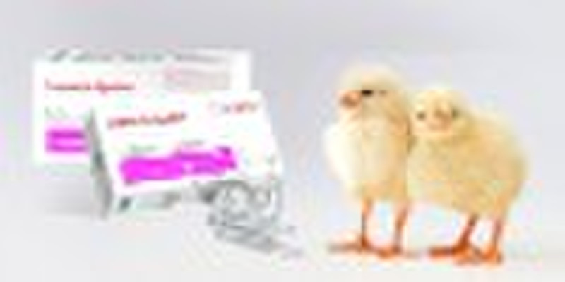 Ivermectin Injection&Veterinary medicine&A