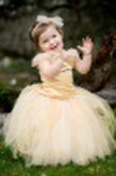 Princess Lovely Flower Girl Dress