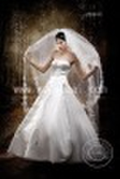 cinderella wedding dress and wedding dress princes