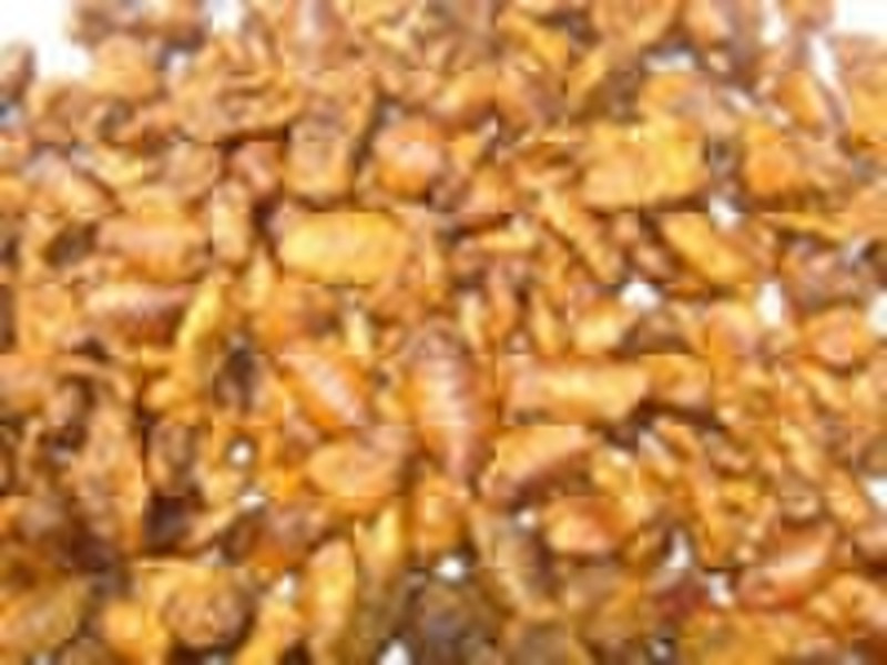 silkworm chrysalis