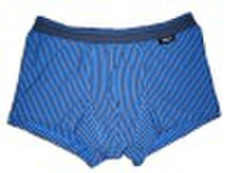 Unterwäsche (Herren boxer, boxer short)