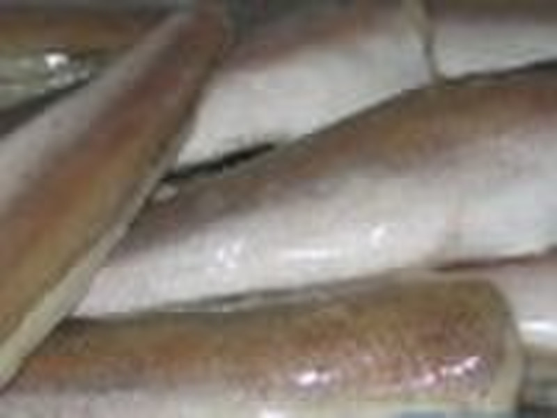 HAKE FILLETS