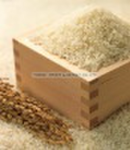 日本SASANISHIKI圆简短的粮白稻米（