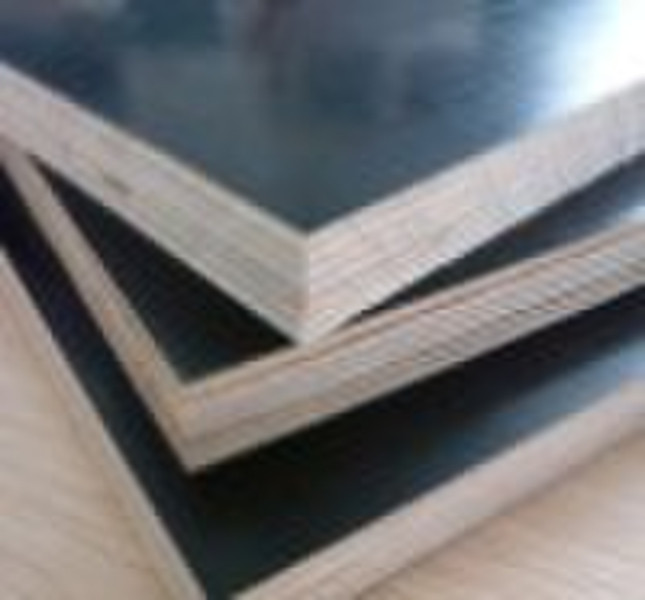 Shuttering plywood