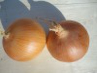 yellow onion