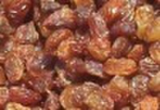 jumbo red sultana raisin