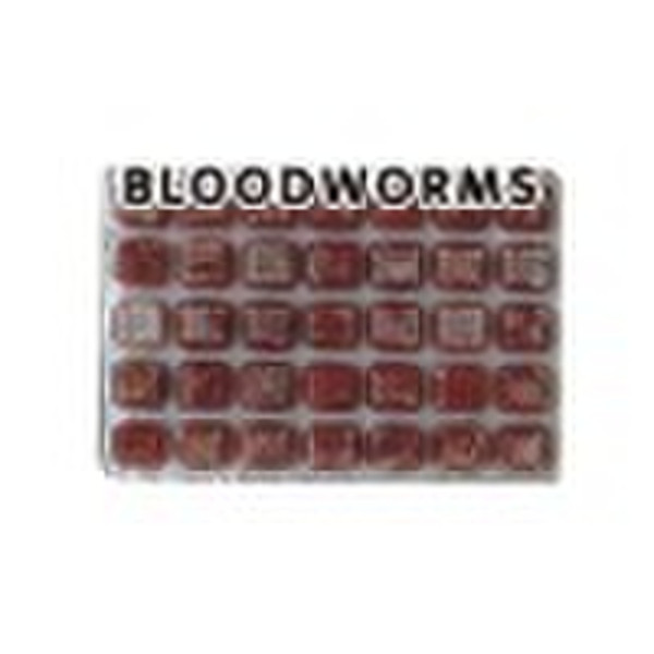 Gefrorene Bloodworm