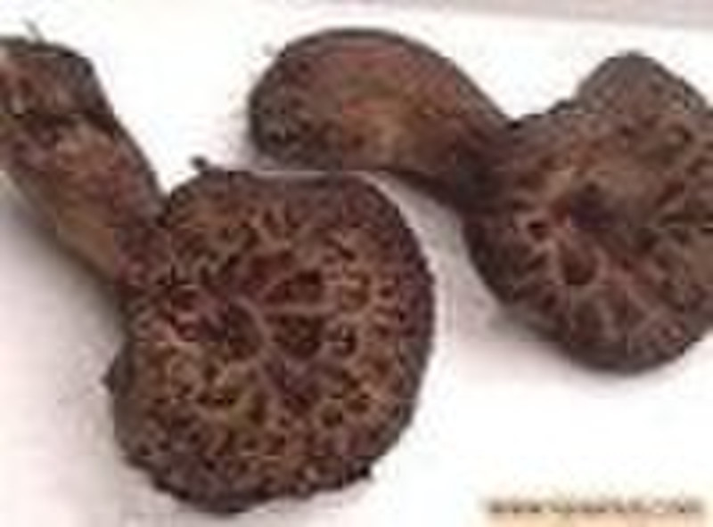 mushroom of wild Zhangzi Bacteria, slimming, low-f