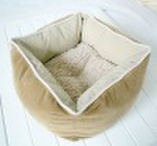 fashionable cat beds