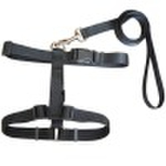 Pet harness