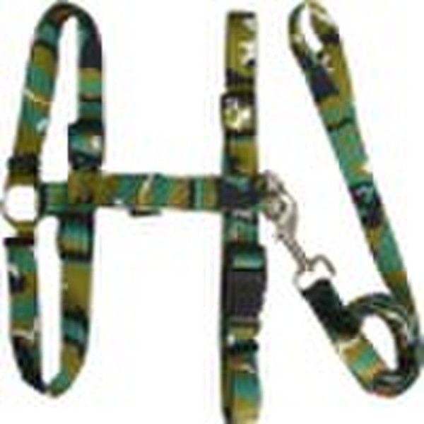 Dog harness training