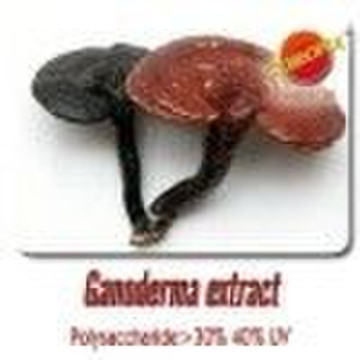 Ganoderma extract/Polysaccharide>30%