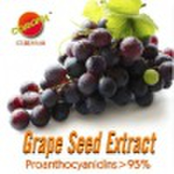 grape seed extract