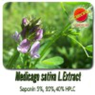 Alfalfa Extract/Saponin  5%