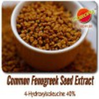 Common Fenugreek Seed Extract/4-Hydroxyisoleucine