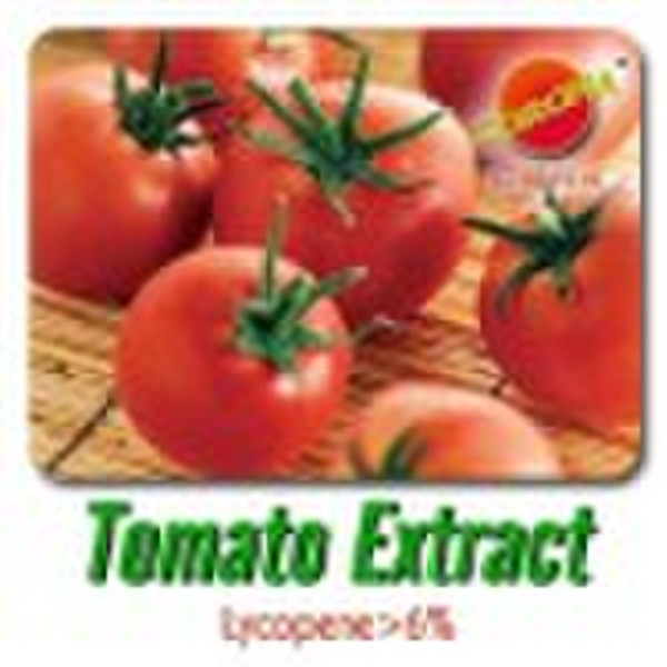 Tomato Extract Powder(lycopene)