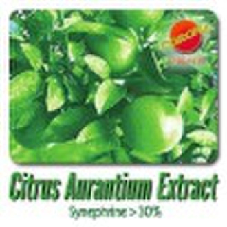 synephrine 30%/Fructus Aurantii Immaturus extract