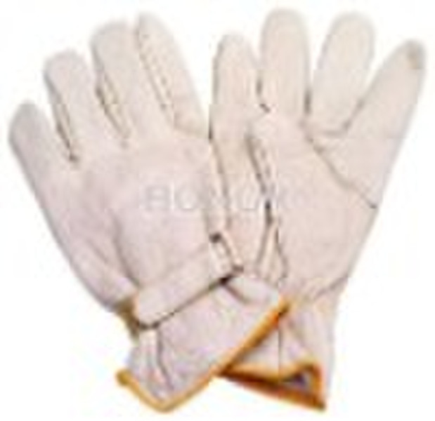 Driver gloves WG07067