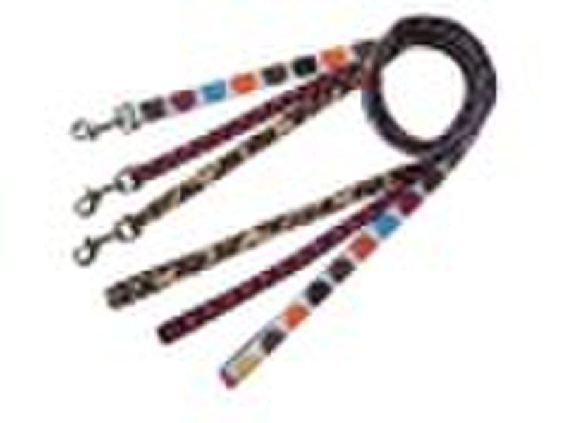 Pet leads with canvas