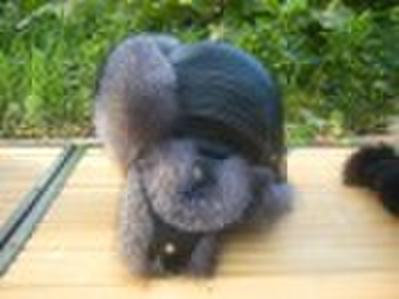 Women fur hat     Raccoon fur hat with leather top