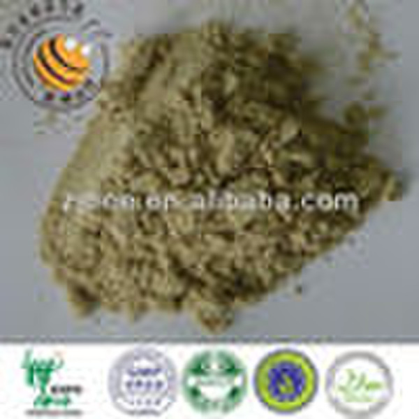 Lyophilized drone pupa Powder